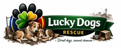 Stichting Lucky Dogs Rescue