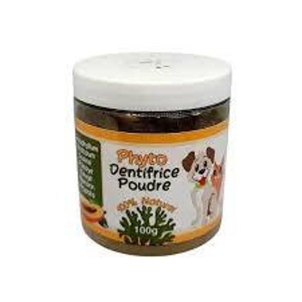 Dentifrice poudre chien et chat