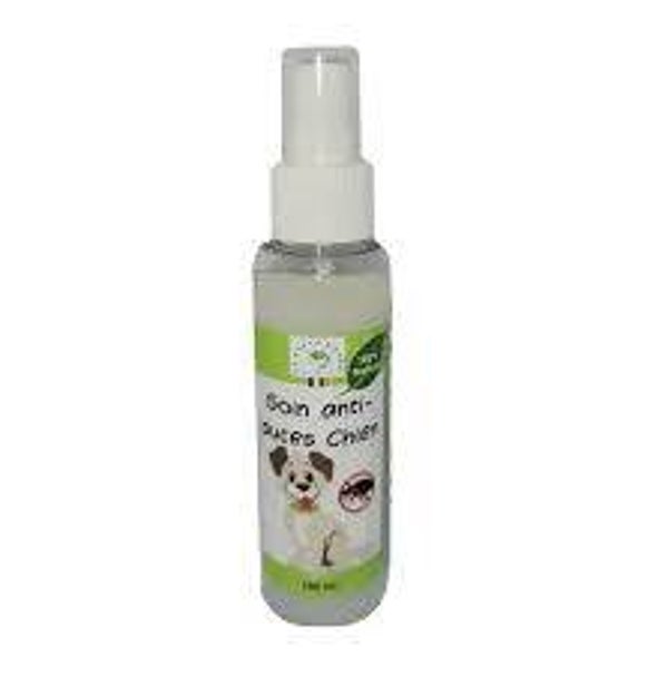 Spray naturel contre les puces chien