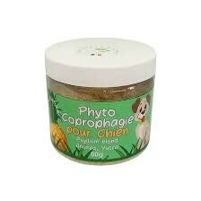 Coprophagie pour chien