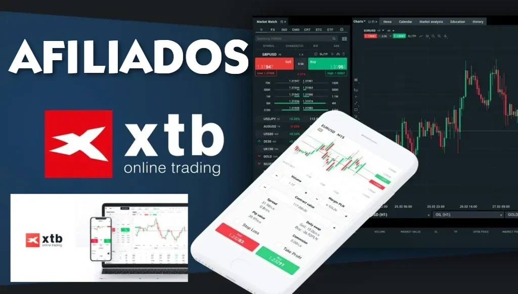 Afiliados XTB