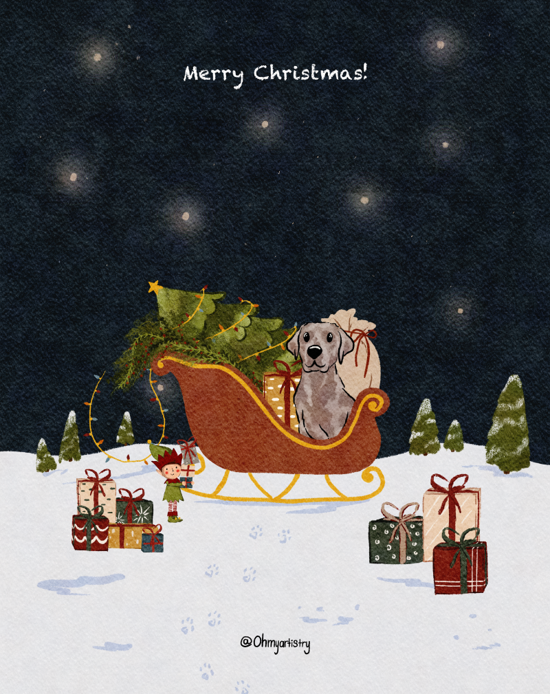 cloud_the_silver_labrador_digitaal_bestand_kerstslee-standard.png