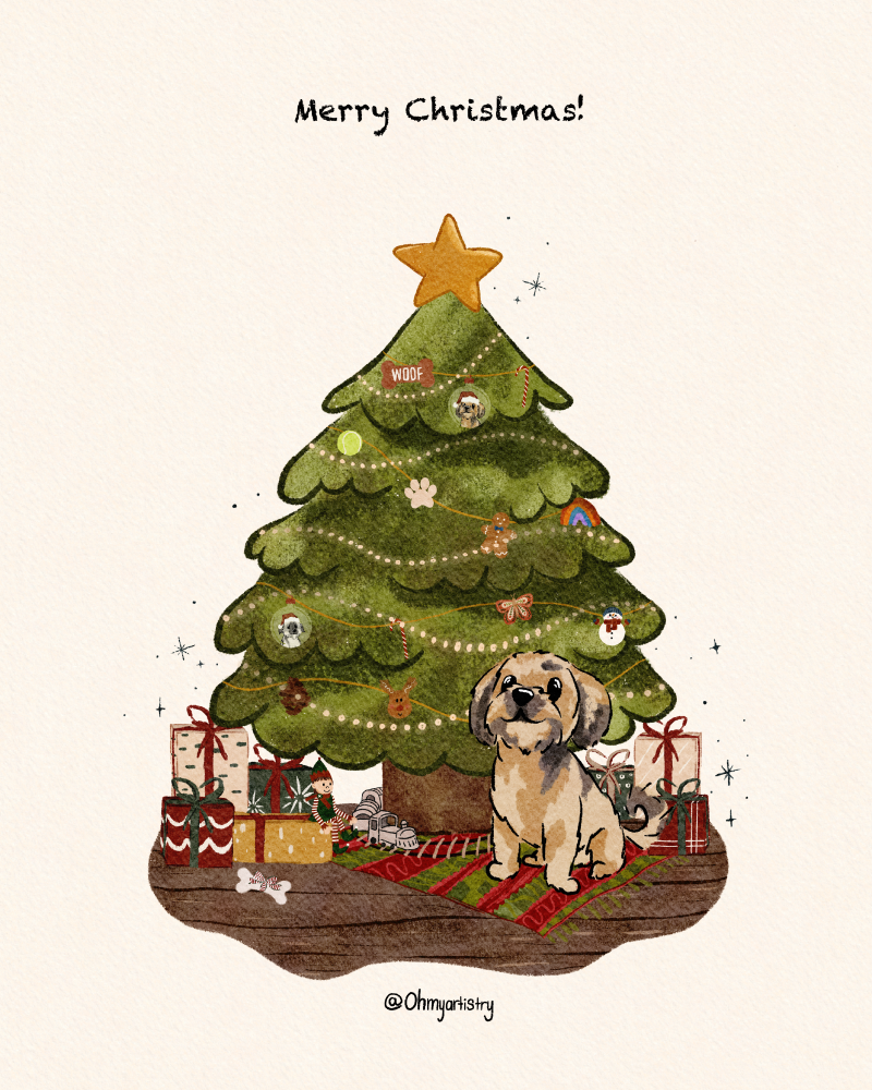 digital_christmas_card_bolinha-standard.png