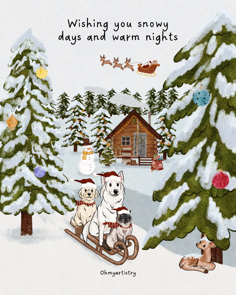 winter_wonderland_royal_vanlife-standard.png