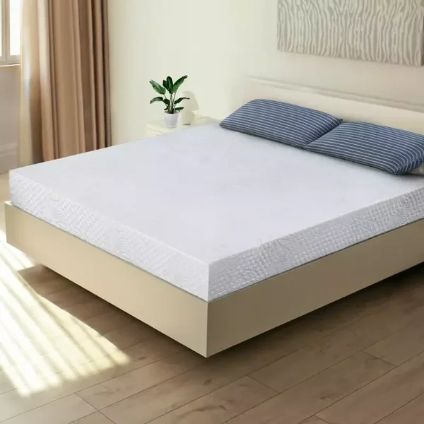 Double 5 inch Foam Mattress