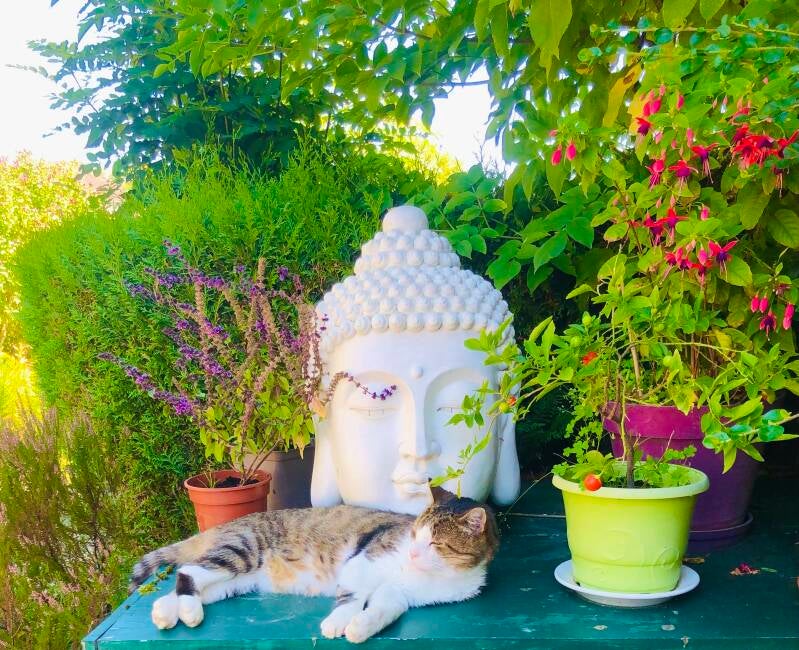 DUMILIEU Nathalie - Magnétisme - ARCONCEY 21320 - A propos de