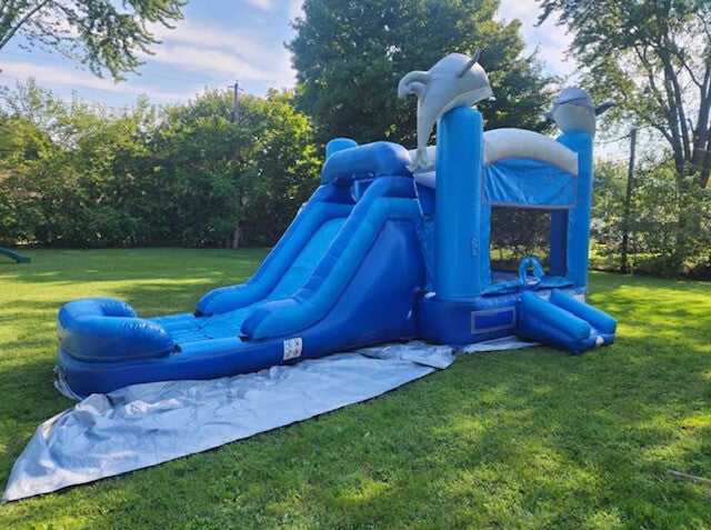 Dolphin Wet/Dry - Large Bounce House