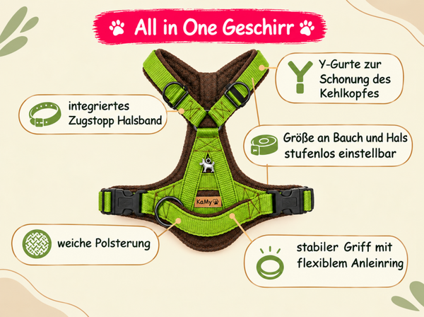 All in One Geschirr