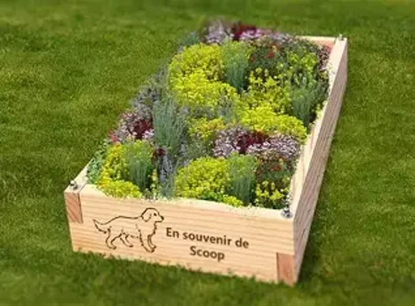 Nettoyage de pierre tombale pour animaux