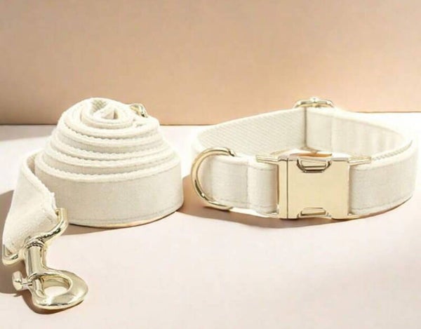 Dog Velvet collar and leash set