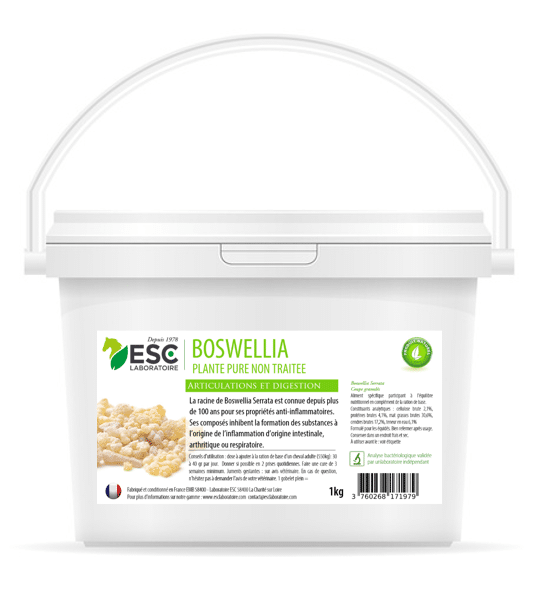 BOSWELLIA SERRATA – Plante pure – Sensibilités articulaires et pulmonaires cheval