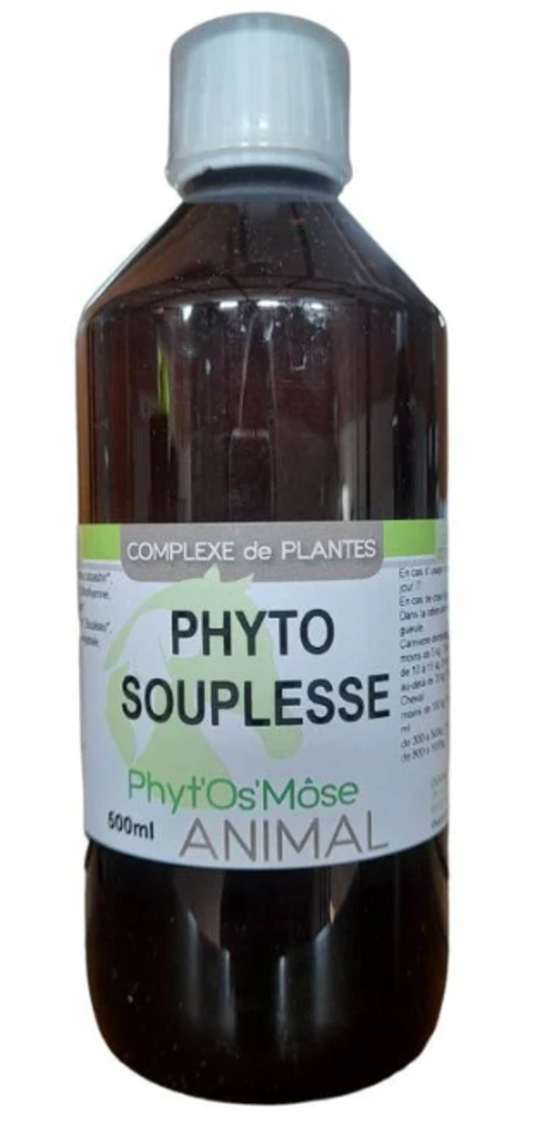 Phyto' Souplesse - Horse Remedy