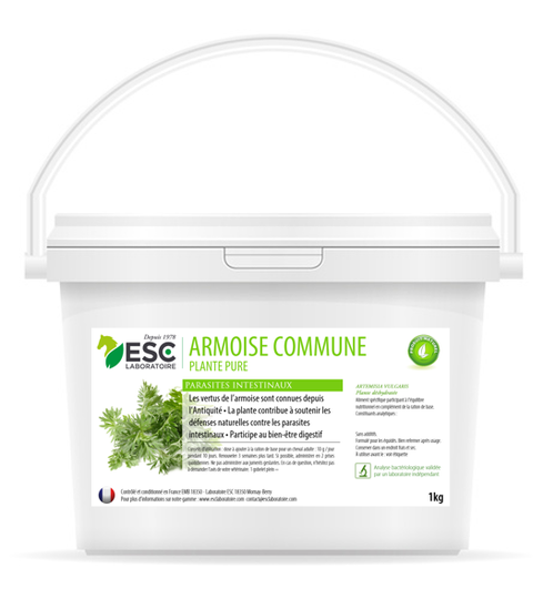 ARMOISE – Parasites intestinaux cheval – Plante pure - Solde 10%