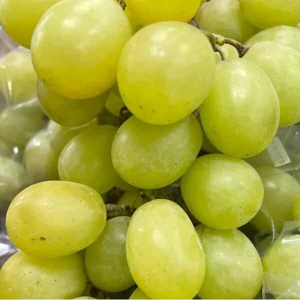 Raisins blancs( ou kg)