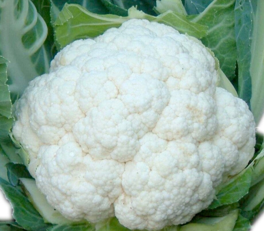 Chou-fleur blanc( à la pièce)