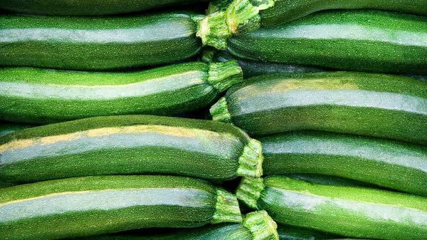 courgettes vertes( ou kilo)