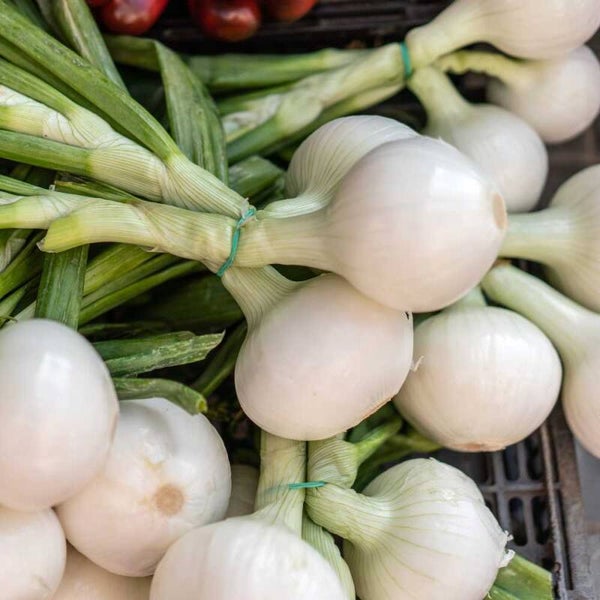 Oignon blanc frais