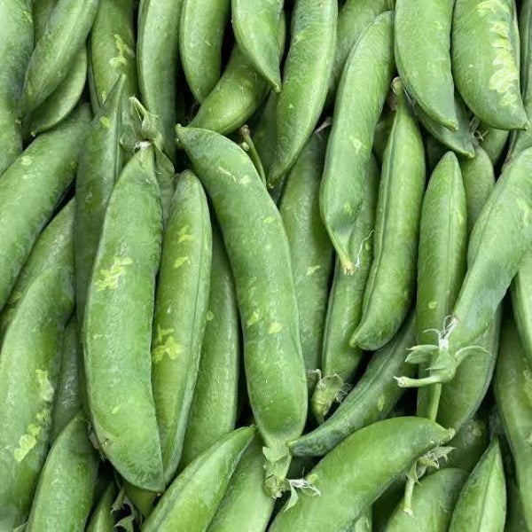 Petit pois