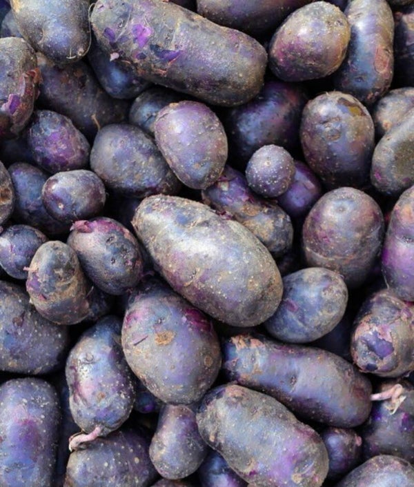 Pommes de terre violet