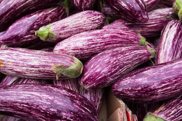 Aubergine violet zèbre