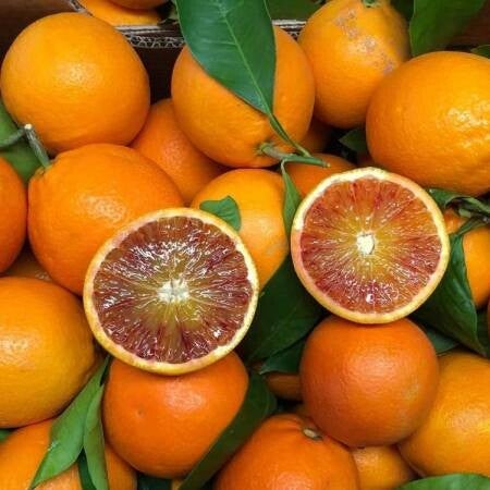 oranges sanguines