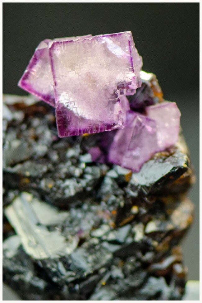 2024_04_21_exposition_mfp64_fluorite_sphalerite_mine_elwood_smith_tennessee_usa_5-standard.jpg