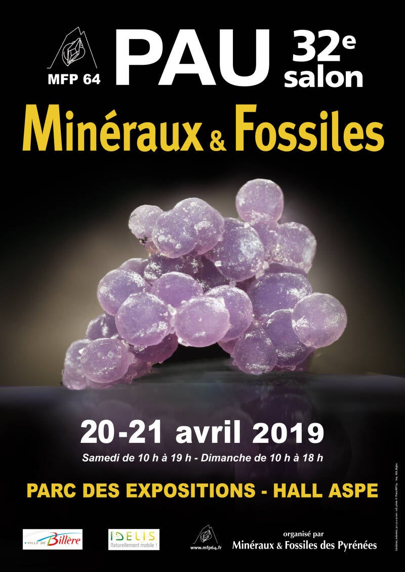 affiche-mfp-salon-2019-coul-a4-standard-k0tdil.jpg