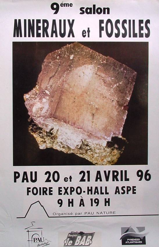 affiche1996-standard-jllpo2.jpg