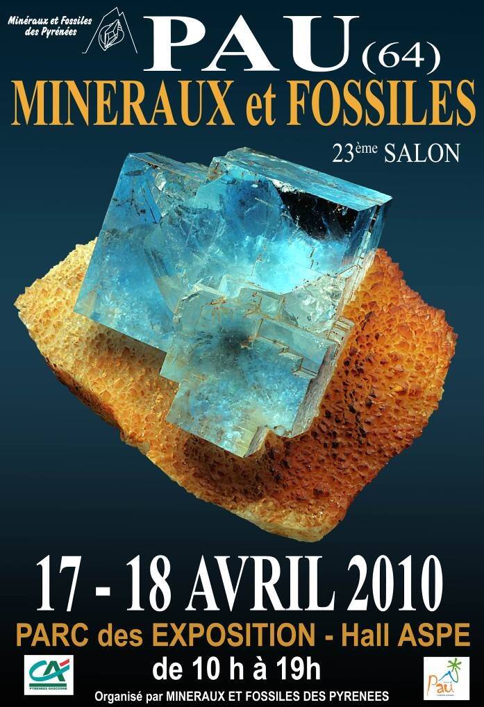 affiche2010-standard-1e336l.jpg