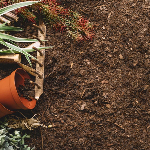 Bemeste tuinaarde (ca. 40L) vanaf 2 stuks te bestellen (per stuk 5,75). Staffelkorting vanaf 4 stuks