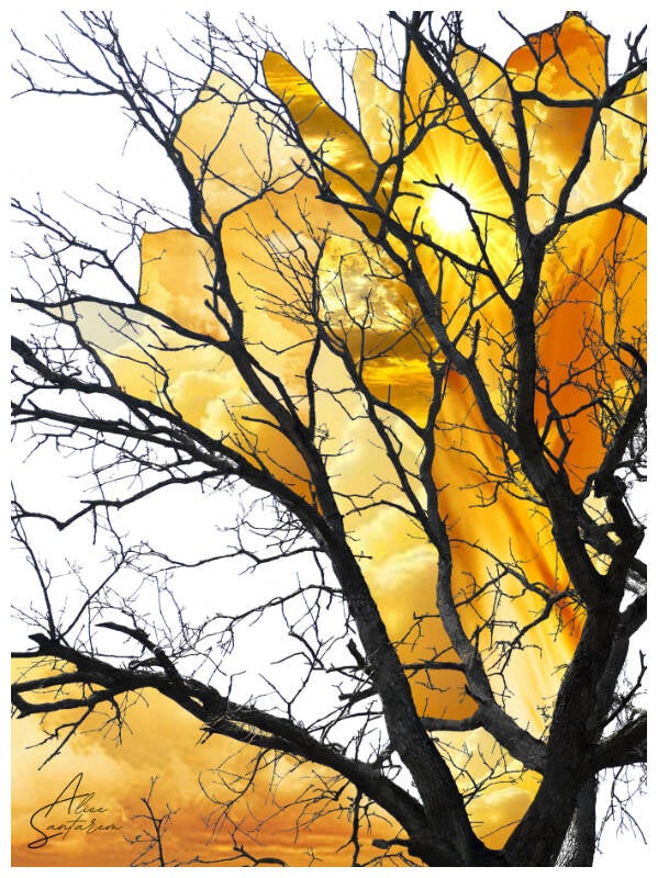 arbre-jaune-standard-xpnsrj.jpg