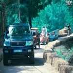 img_0626-standard.jpg