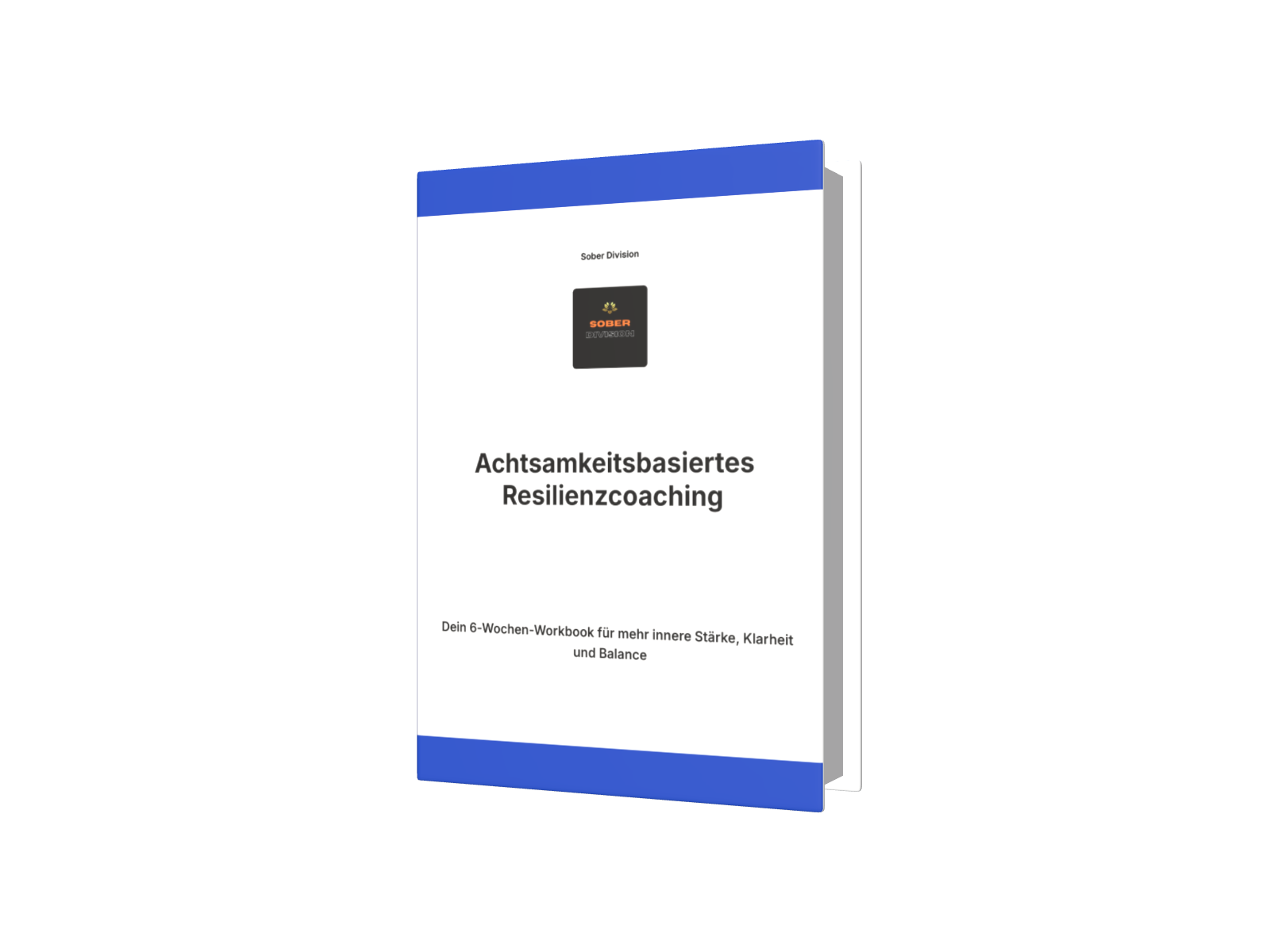 Sober Division Workbook Achtsamkeitsbasierte Resilienz - Leitfaden für psychologische Beratung