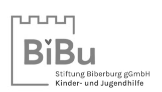 Logo der Stiftung Biberburg Kinder- und Jugendhilfe – Kooperationspartner von Sober Division für Drogenprävention und Suchtberatung.