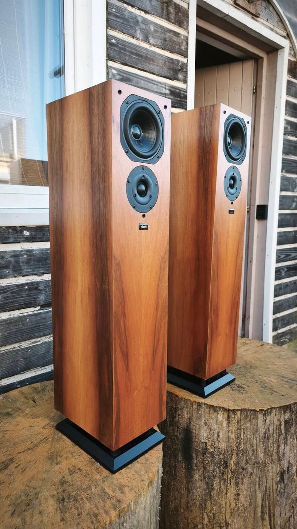 Magnifiques enceintes Chario Syntar 100