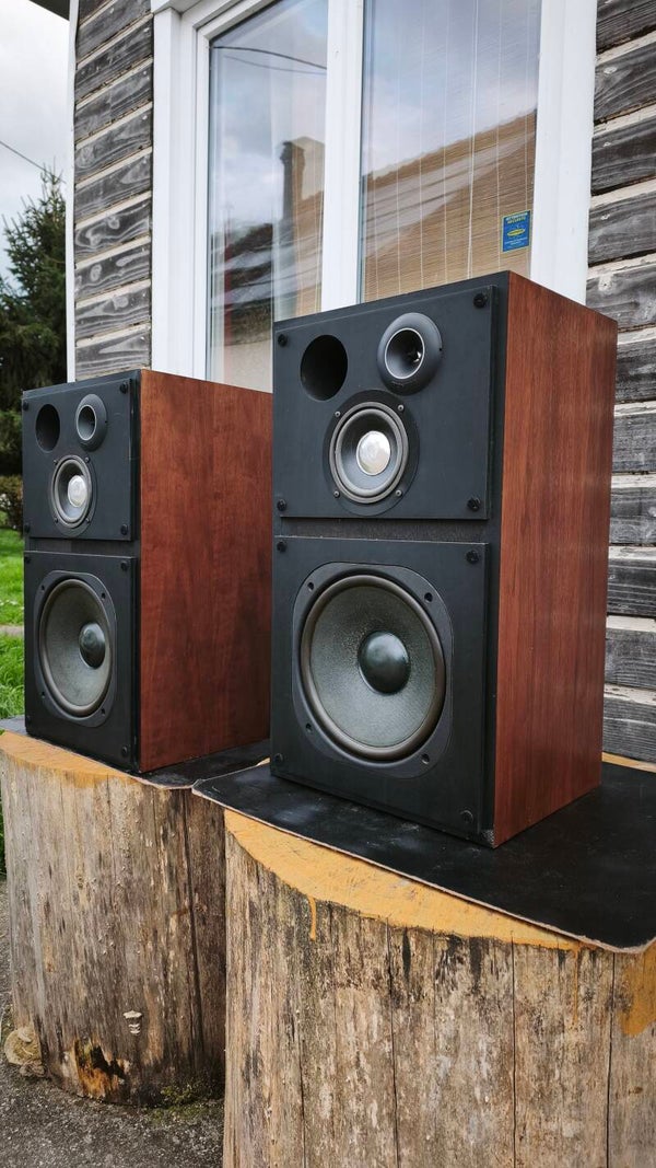 Pioneer CS-R500