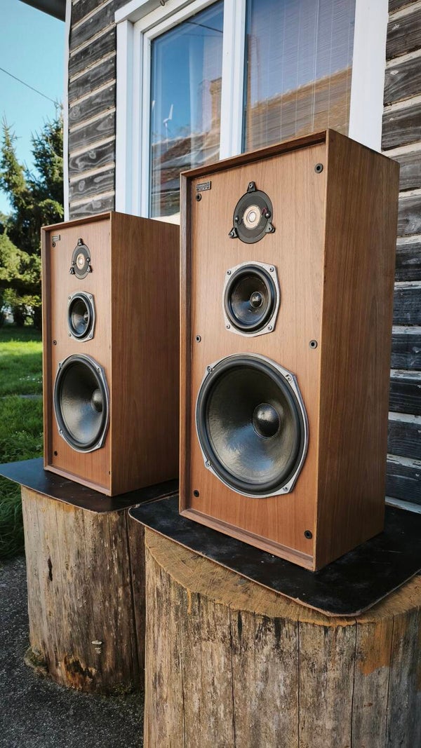 Celestion Ditton 44 🔥🔥🔥