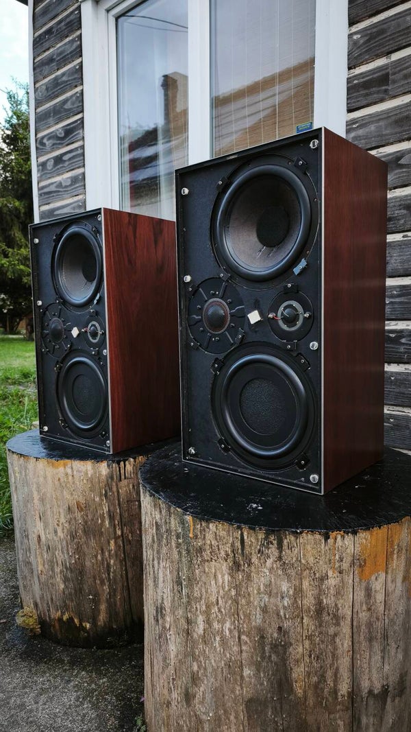 Excellentes Enceintes Vintage Bang & Olufsen Beovox 5700