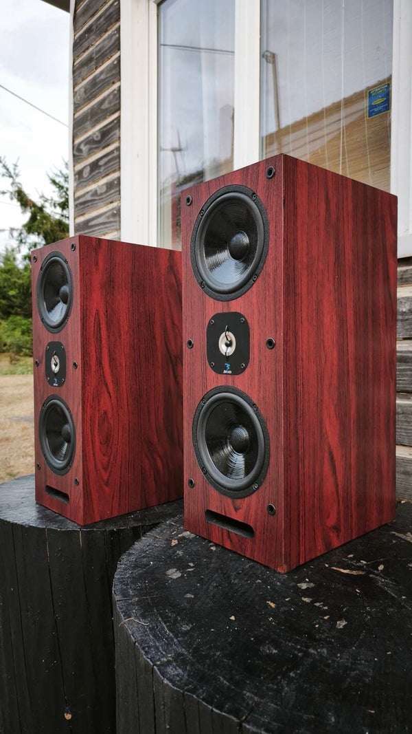 Enceintes Vintage Musicales Jmlab Tantale 509
