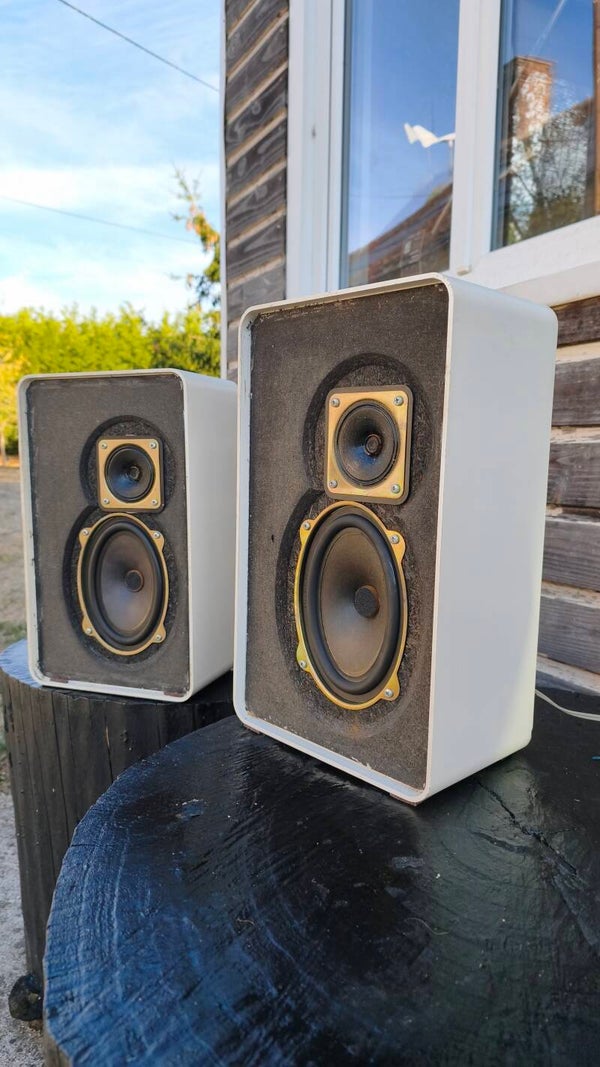 Très Rares Enceintes Vintage Rank YX9007