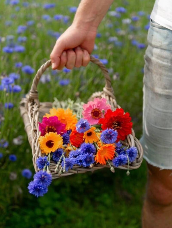 Workshop pluktuin Pluck | 29 augustus