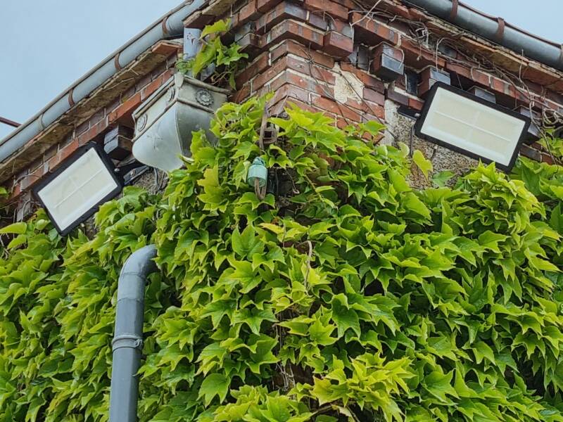 électricien certifié qualifelec rge irve