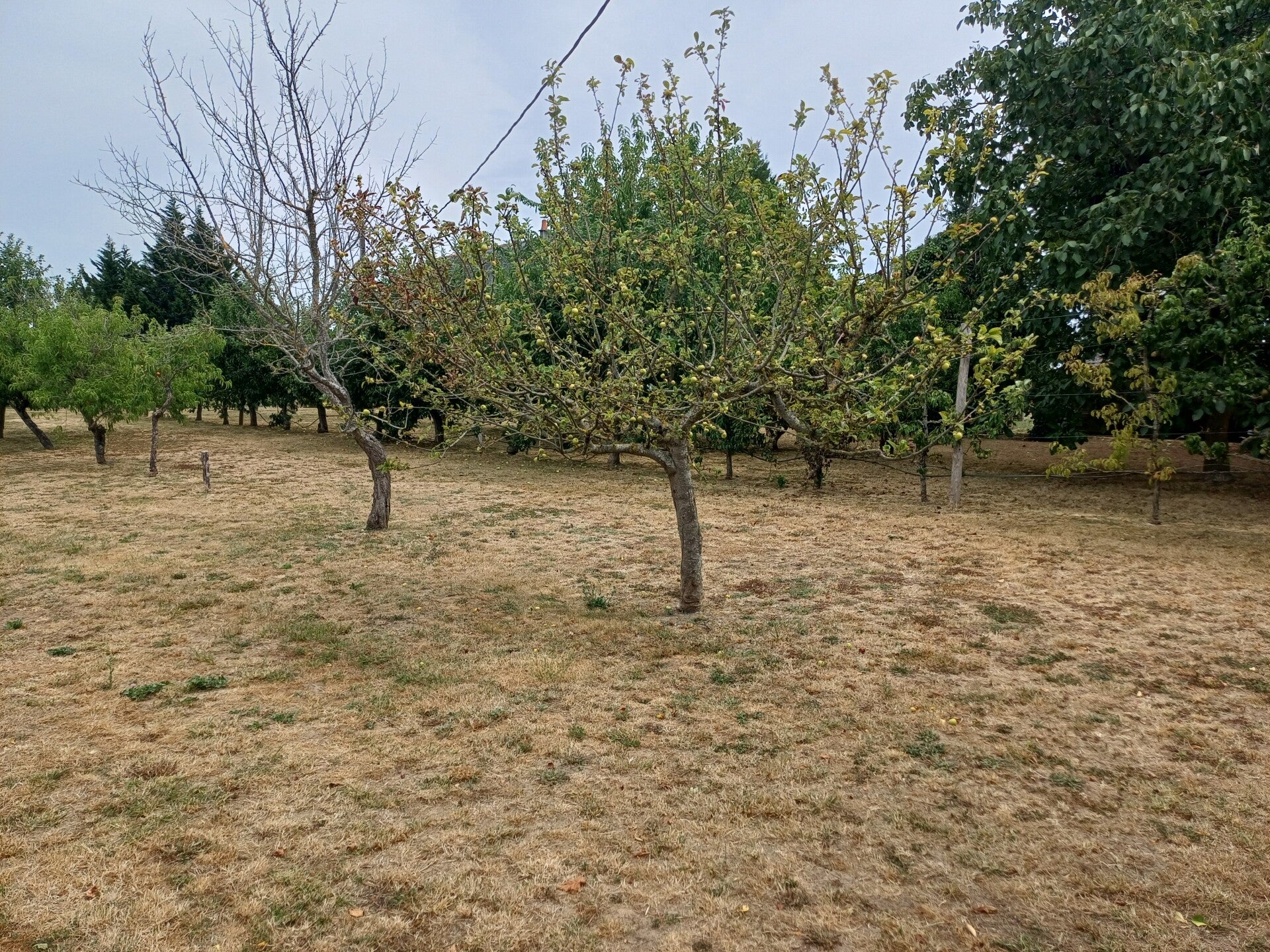 20260716_144408-1-standard-91hama.jpg