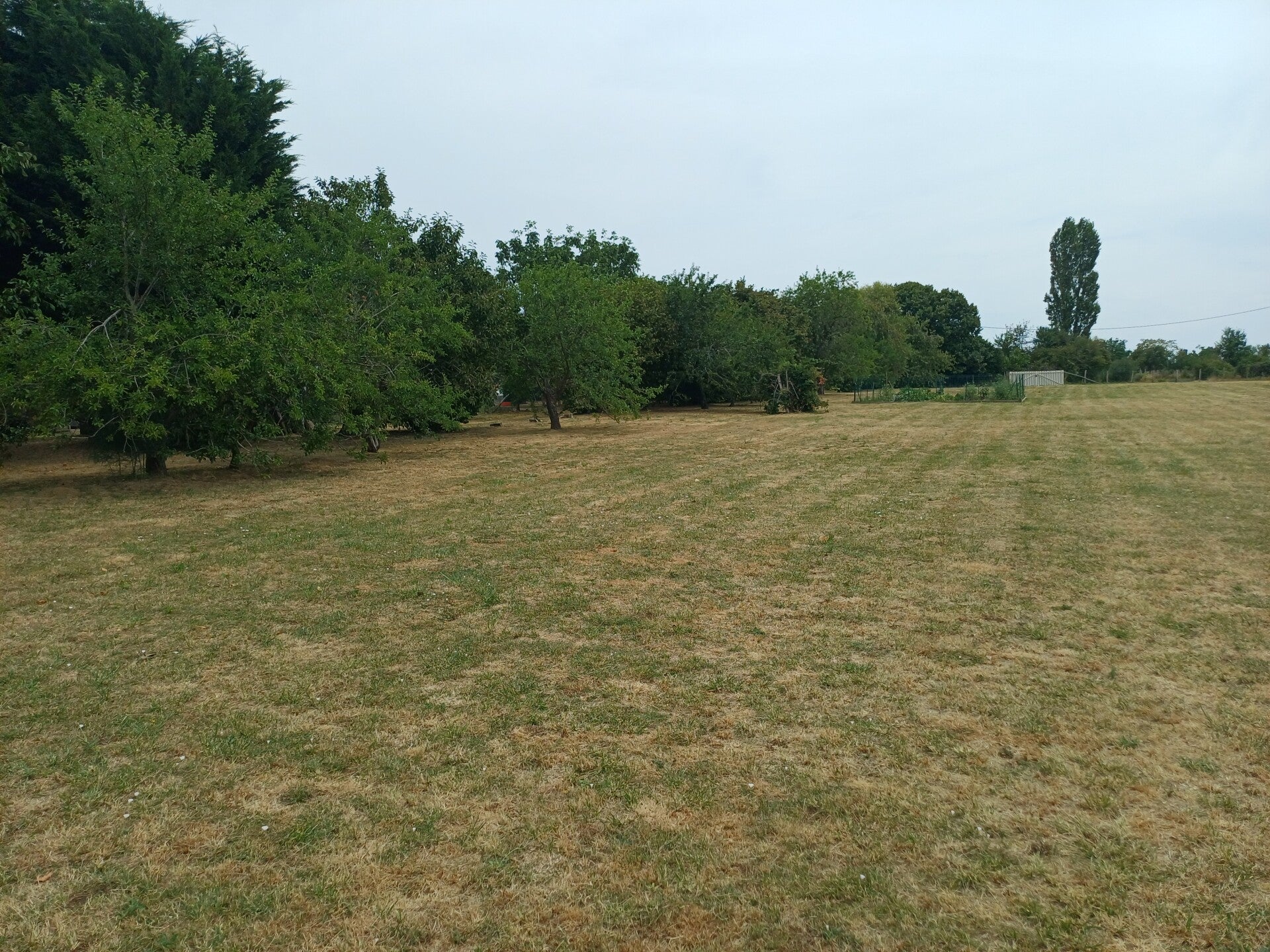 20260716_144433-1-standard-wp64qv.jpg