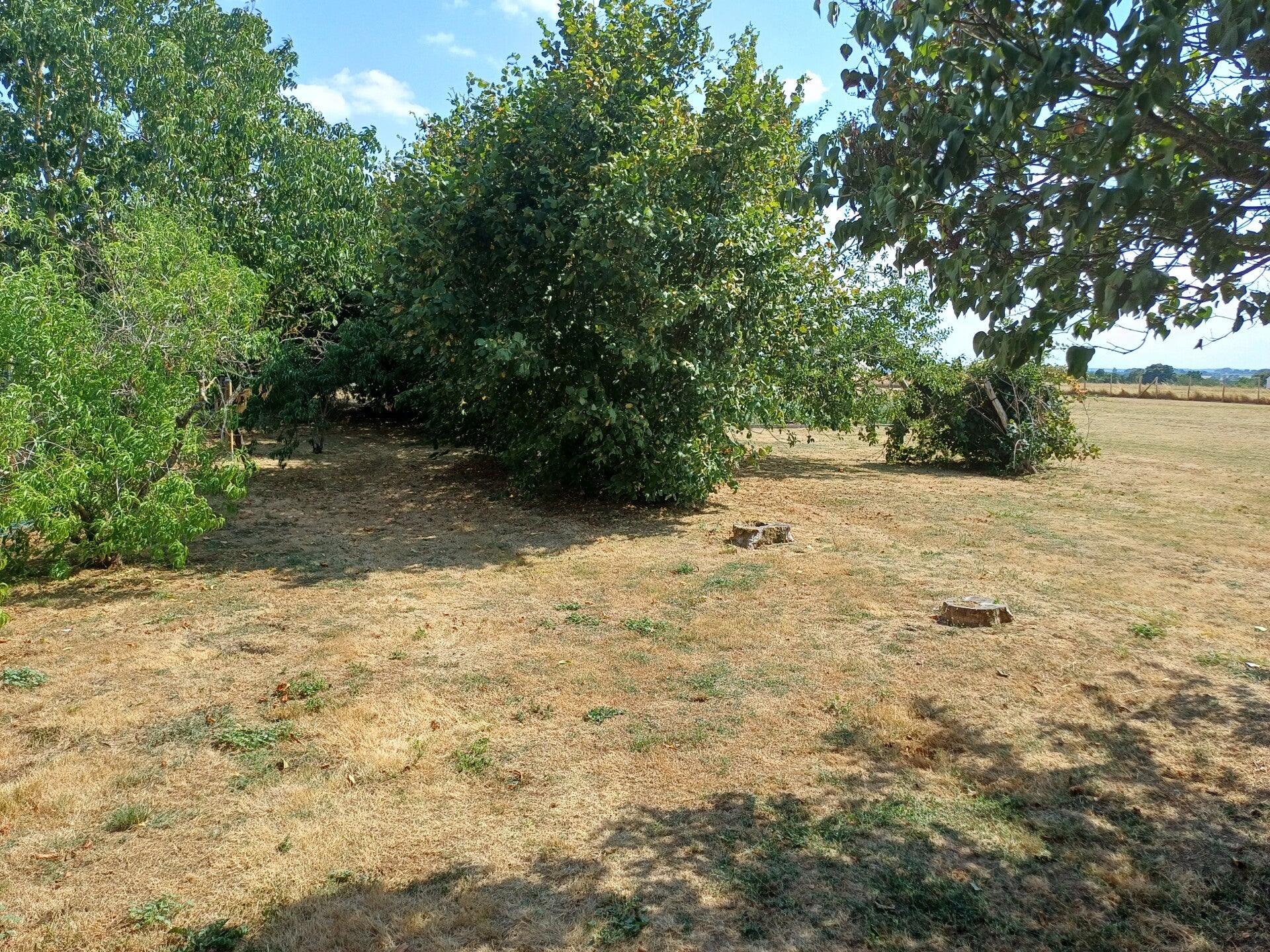 20260717_163032-1-standard.jpg
