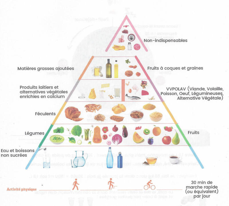 pyramide alimentaire 7 familles alimentaires