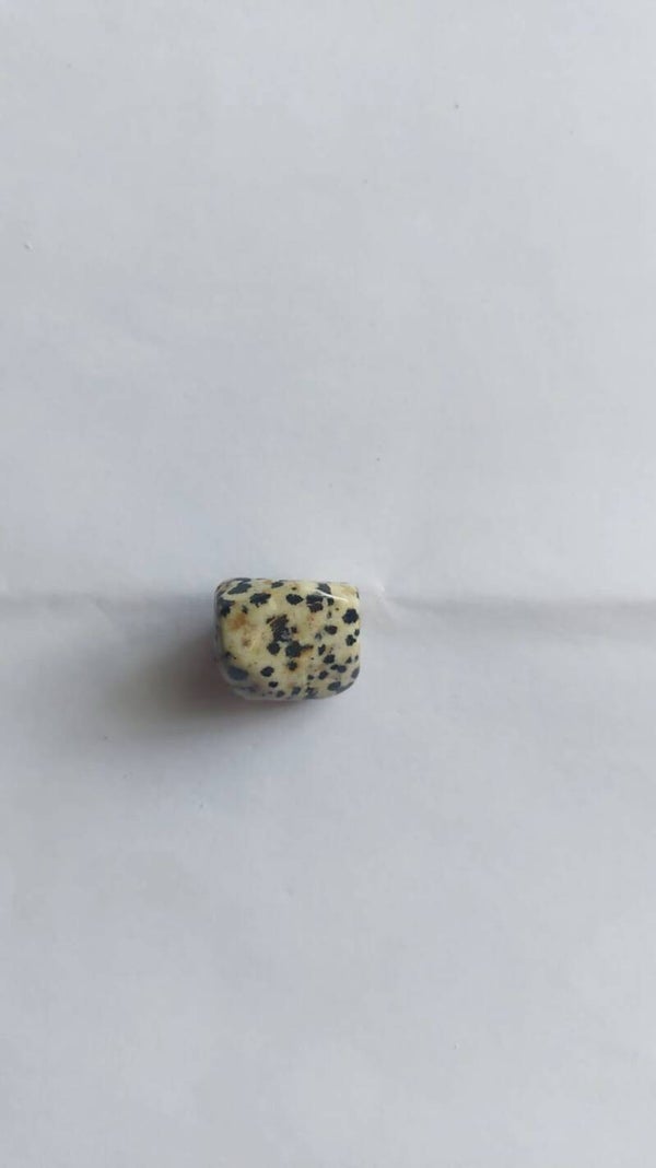 Jaspe Dalmata