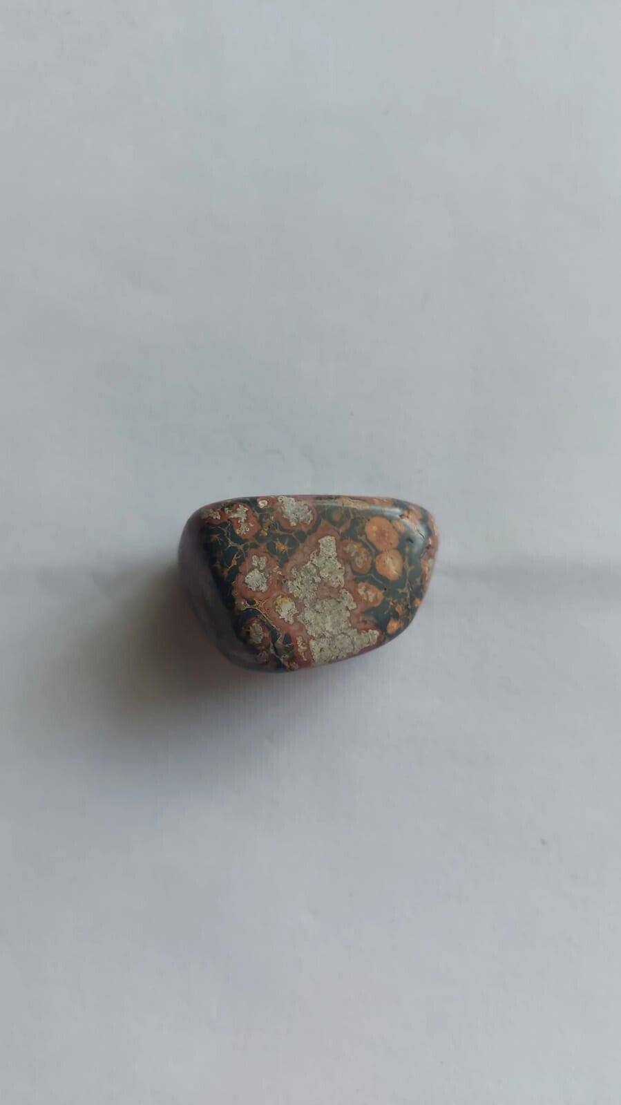 Jaspe Leopardita