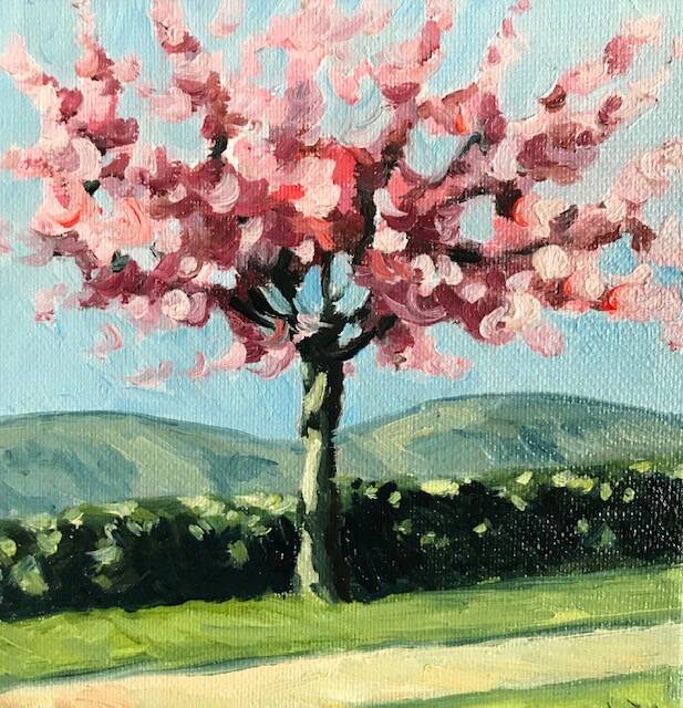 Verkocht | Bloesemboom | Olieverf op doek | 15 bij 15 cm |  © 2020