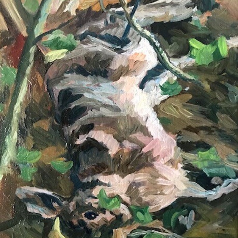 De haas | Olieverf op doek | 40 bij 30 cm | 450 euro | © 2020